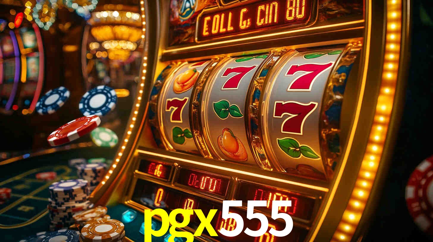 Premium Interface pgx555